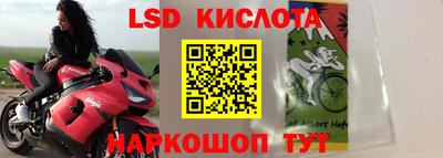 бошки Новодвинск