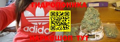 бошки Новодвинск
