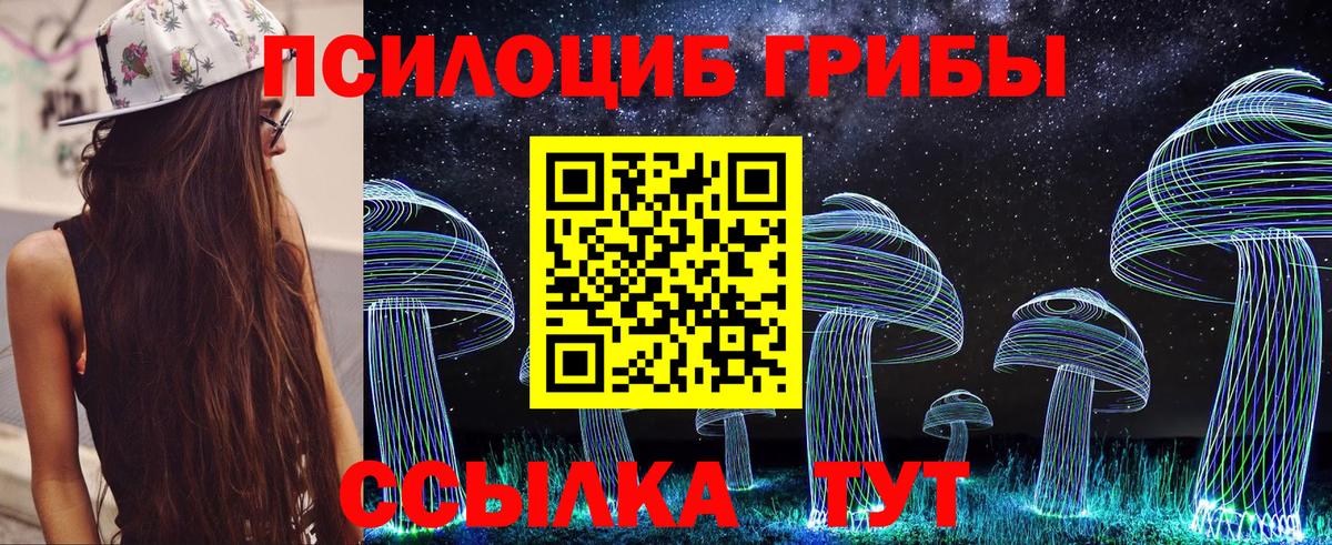 Псилоцибиновые грибы Psilocybine cubensis Ростов Великий