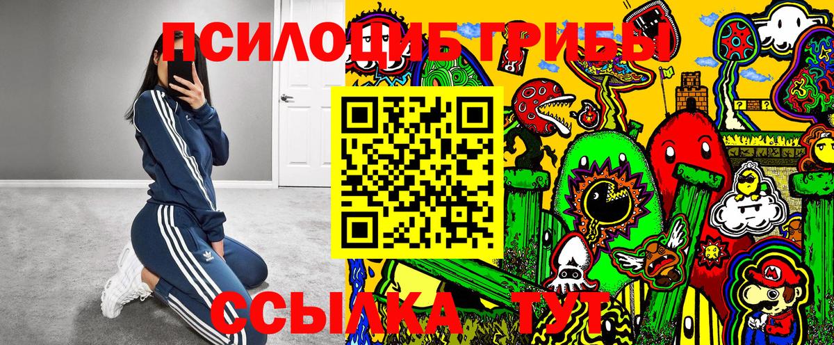 Ростов Великий  Галлюциногенные грибы мухоморы  Вход с VPN 